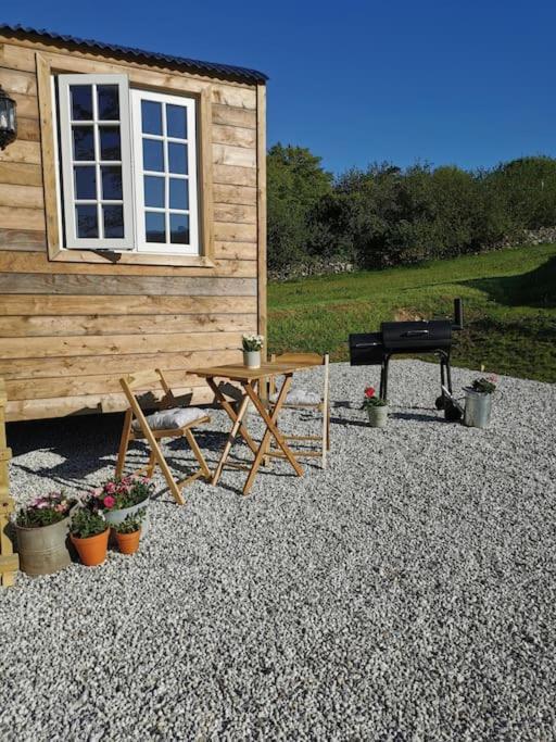 Elvan Farm Shepherd'S Hut Villa Exeter Kültér fotó