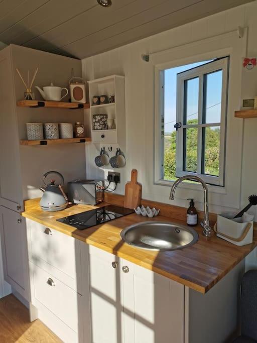 Elvan Farm Shepherd'S Hut Villa Exeter Kültér fotó