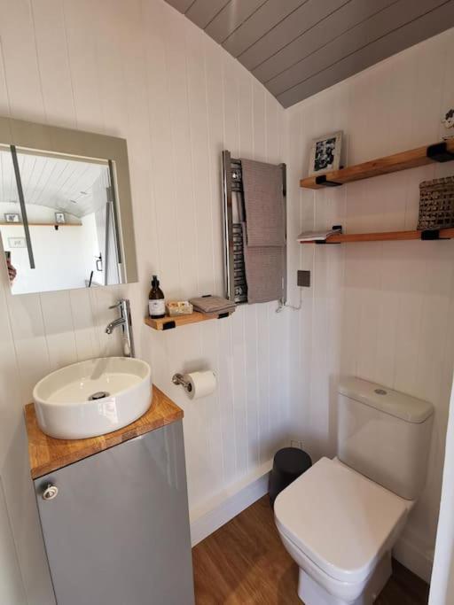 Elvan Farm Shepherd'S Hut Villa Exeter Kültér fotó